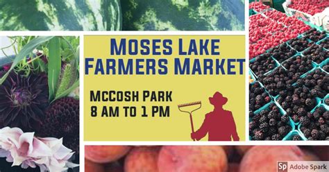 There's a wide variety of produce stands to choose from, so you can pick your favorite blueberry seller or zucchini stand (a big bag for four bucks? Yes please). . Facebook marketplace moses lake